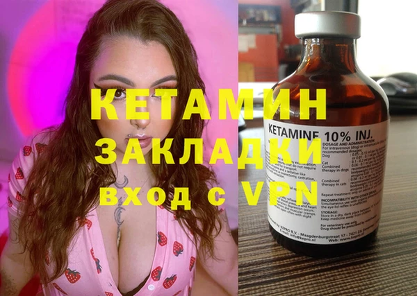 крисы Баксан