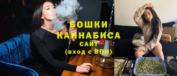 крисы Баксан