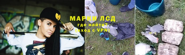 крисы Баксан