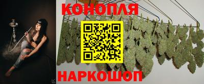 прущая мука Гатчина