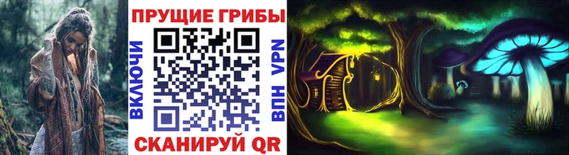 Галлюциногенные грибы MAGIC MUSHROOMS  Гай 