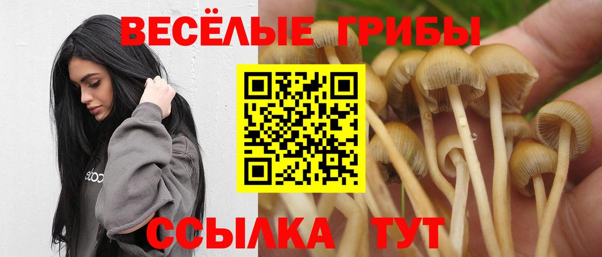 Галлюциногенные грибы Cubensis Гай